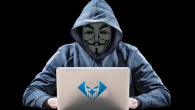 Kerala Punjab Tn Faced Brunt Of Cyber Attacks During Covid 19