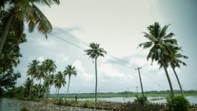 Kerala Ready To Receive 698 Evacuees From Maldives