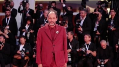 Luca Guadagnino To Direct Scarface Reboot