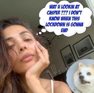 Malaikas Funny Lockdown Chat With Pet Dog Casper