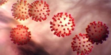 Odisha Reports Highest Single Day Spike Tally Rises To 538
