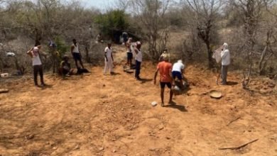 Rajasthan Villagers Dig Reservoir For Stray Wild