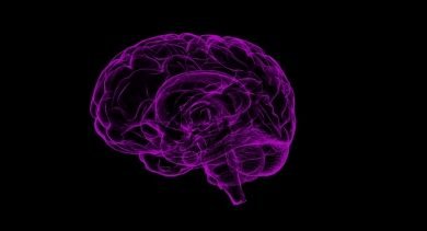Researchers Develop Ai Algorithm To Spot Brain Injuries