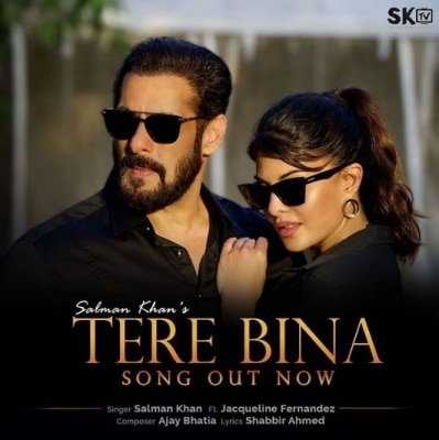 Salmans Love Song Tere Bina Gets 26 Mn Views