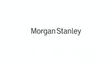 Tata Consumer Igl Biocon Candidates For Msci Index Morgan Stanley
