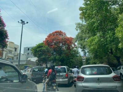 Traffic Jams In Delhi Chaos At Inter State Checkpoints On 1st Day Of Lockdown 3 0