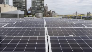 Ultra Mega Solar Parks Kick Start Indias Clean Energy Transition