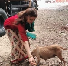 Urvashi Rautela Urges People Not To Neglect Stray Animals