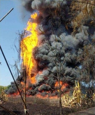 2 Firefighters Dead Many Houses Damaged As Assam Oil Well Fire Rages