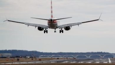 American Airlines Passenger Removed For Not Wearing Mask