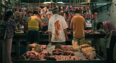Close Slaughterhouses Until Workers Can Be Tested Appeals Peta India