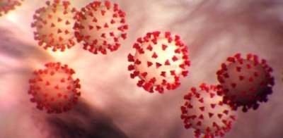 Corona Infection At Peak In Tn Numbers To Go Down Experts