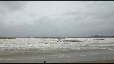 Cyclone Nisarga More Than 50k Evacuated In Gujarat