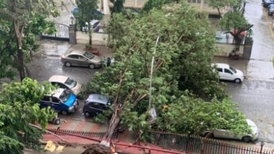 Cyclone Nisargas Maha Landfall Full Of Fury