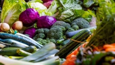 Diet Of Average Indian Lacks Protein Fruit Vegetables