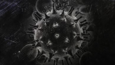 Flu Virus With Pandemic Potential Found In China