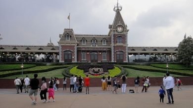 Hong Kongs Disneyland Ocean Park To Reopen