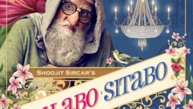 Lucknow Misses Theatrical Release Of Gulabo Sitabo