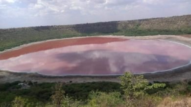Mahas Lonar Lake Dons Baby Pink Colour Astounds Scientists