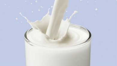 Milk Powder Imports Will Harm Farmers Dairy Industry