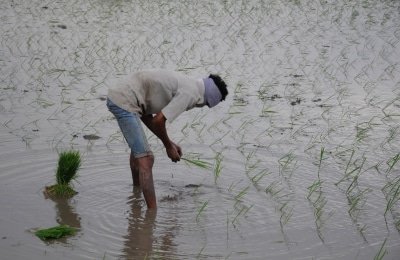 Monsoon Showers Happiness Kharif Sowing Increases 104