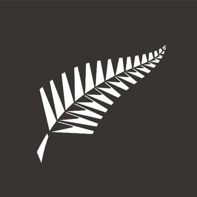 New Zealand Cricket Deputy Chief Executive Resigns