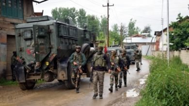 Pakistan Violates Ceasefire On Loc In Jk