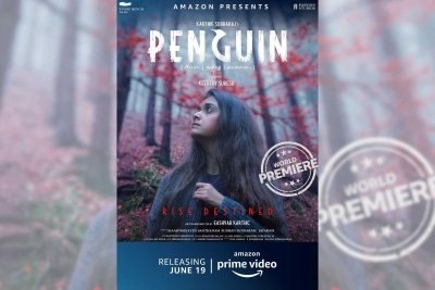 Penguin Lost In Confusion Ians Review Rating And 1 2
