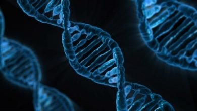 Researchers To Identify Genes That Put Some At Severe Corona Risk