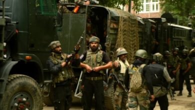 Terrorist Killed In Kashmir