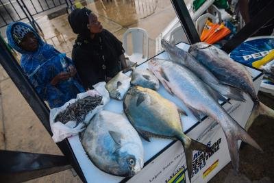 Thai Seafood Fraudsters Sentenced To 1446 Yrs In Jail