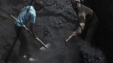 Unleashing Coal 41 Mines On Offer For Commercial Extraction
