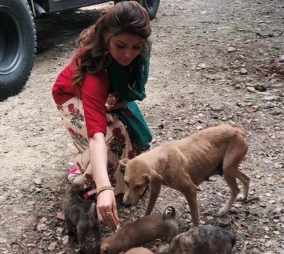 Urvashi Rautela Animal Life Matters