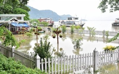 Assams Kaziranga Park Flooded 51 Animals Killed 102 Rescued