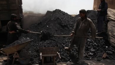 Coal Miners Strike Hits Production In Telanganas Singareni