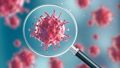 Coronavirus May Infect Heart Cells Of Covid 19 Patients Study