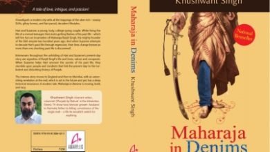 From Maharaja In Denims Novel To Silver Screen
