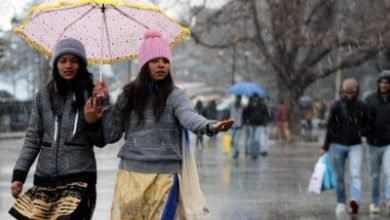 Himachal Asks Tourists To Follow Sops 700 Visited In Five Days