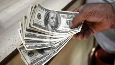 Indias Forex Reserves Rise By Over 1 2 Billion