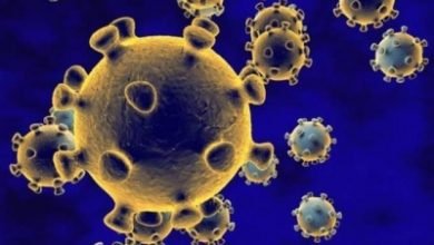 Iran Reports 2521 New Coronavirus Cases 262173 In Total