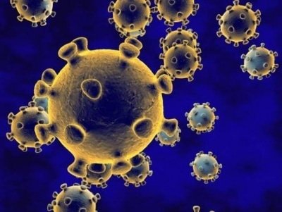 Iran Reports 2521 New Coronavirus Cases 262173 In Total