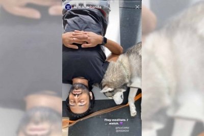Kriti Kharbanda Watches Pulkit Pet Dog Meditate