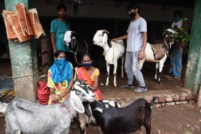 Low Key Bakrid Celebrations For Kerala Muslims