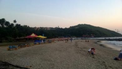 Minors Vulnerable To Sexual Predation On Goa Beaches Yoga Centres Study