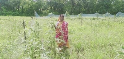 Mobile App Helping Migrants To Find Livelihood In Jharkhand