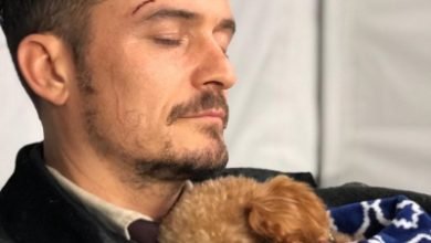 Orlando Bloom Gets Tattoo In Honour Of Dead Pet Dog