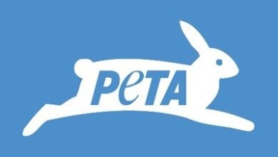 Peta To Reinstall Goat Ad In Empathy For Frightened Animals