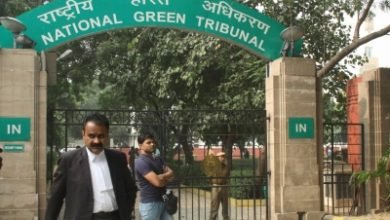 Recover Sewage Charges From Households Ngt To Delhi Govt