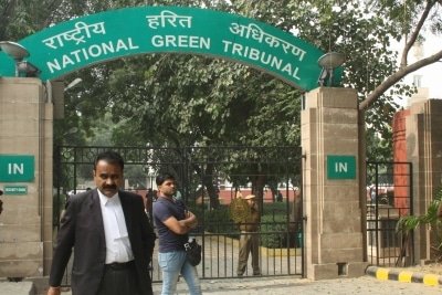 Recover Sewage Charges From Households Ngt To Delhi Govt