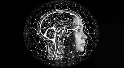 Scientists Spot Brain Cells That Trigger Sugar Cravings In Humans